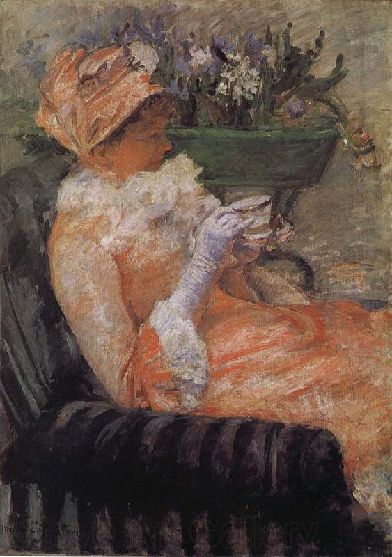 Mary Cassatt A cup of tea Norge oil painting art